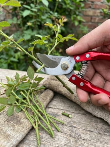 Image of MFY Premium Steel Bypass Pruning Plant Cutter for Garden Use