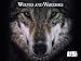 Wolves and Warriors Season 1