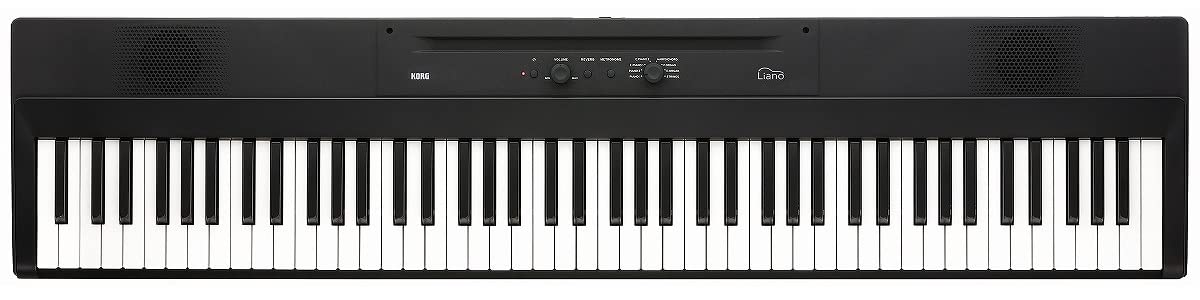 KORG(コルグ) L1SP Liano メタリックシルバー 簡易練習セット 電子