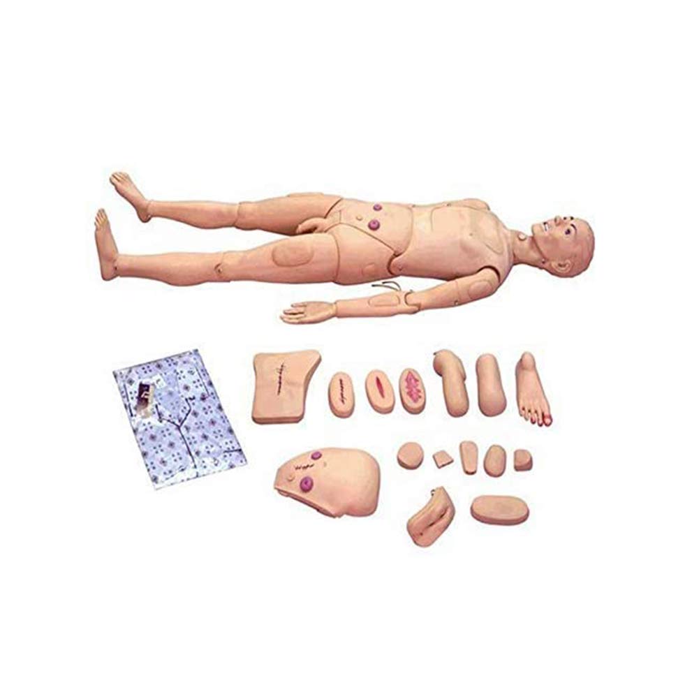 DDT Krankenpflege Pflegepuppe Multifunktional Patientenversorgungssimulator 170CM Nursing Medical Ausbildung Lehre Bildung Medizinische Versorgung Altenpflege