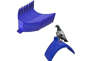 Dove Rest Stand, 10 PCS Lightweight Perches for Birds