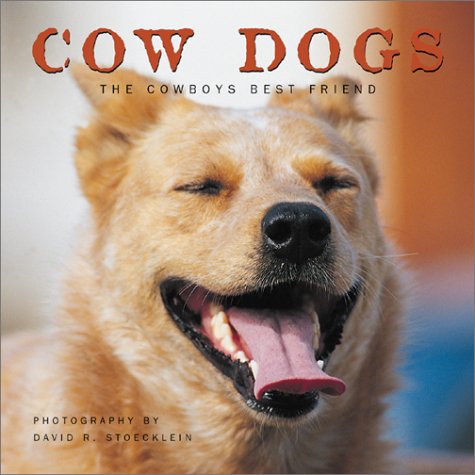 Cow Dogs: A Cowboy's Best Friend      Hardcover – August 1, 2002