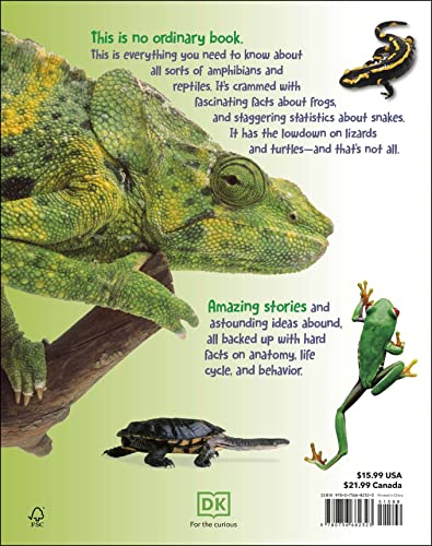Everything You Need to Know About Frogs and Other Slippery Creatures - Image 2