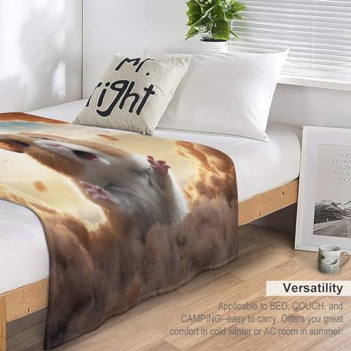 Couverture hamster douce en flanelle supérieure toutes saisons 100x130