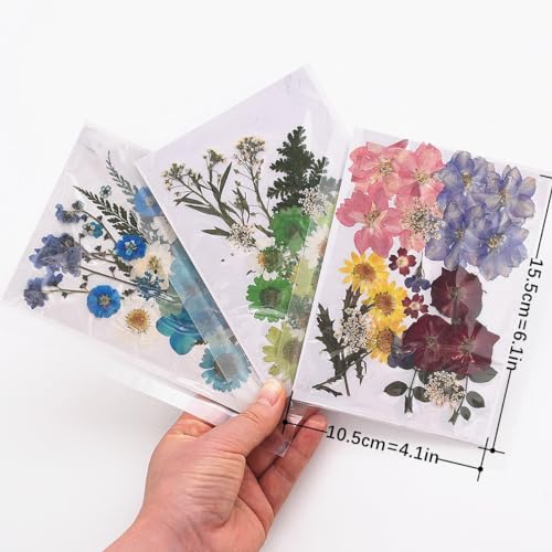 Flores secas prensadas para resina, kit natural 82 piezas miniatura 2