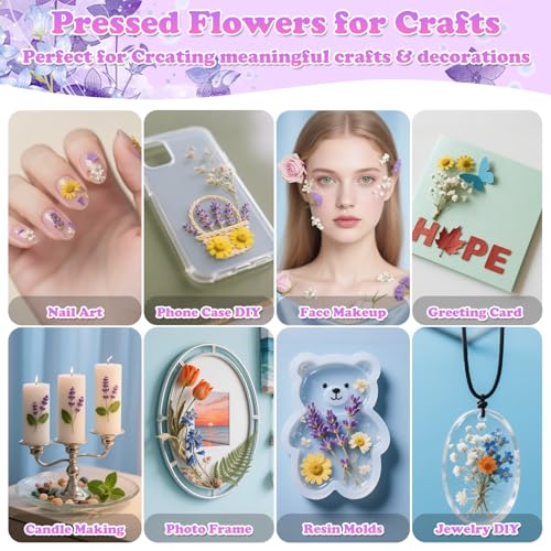 Image of 300 Pcs Real Dried Pressed Flowers & Butterfly Stickers for Resin Crafts | Natural Dry Wildflowers Leaves with Tweezer for Resin Jewelry Molds, Candle, Soap, Scrapbook, Bookmark, Frame, Card Making