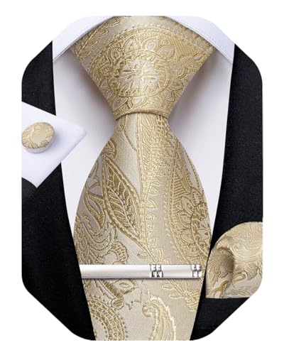 Image of DiBanGu Paisley Ties for Men Silk Necktie and Pocket Square Cufflinks Tie Clip Set Woven Classic Mens Tie for Wedding Party