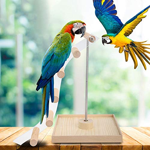 Hffheer Pet Parrot Stand Wooden+Metal Parrots Playstand Perch Gym Stand Playpen Ladder Bird Playground Parrot Perch Gym Stand Playpen Parrot Cage Toys for Parakeet Conure Cockatiel Cage Accessories - Thumbnail 7