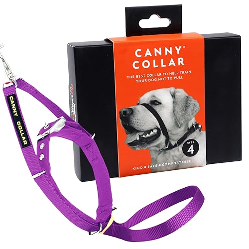 Canny Collar Hundehalfter – Anti-Zug Kopfgeschirr für Hunde | Stoppt Ziehen an der Leine sanft & effektiv | Trainingshilfe für entspannte Spaziergänge – Größe 4, Lila