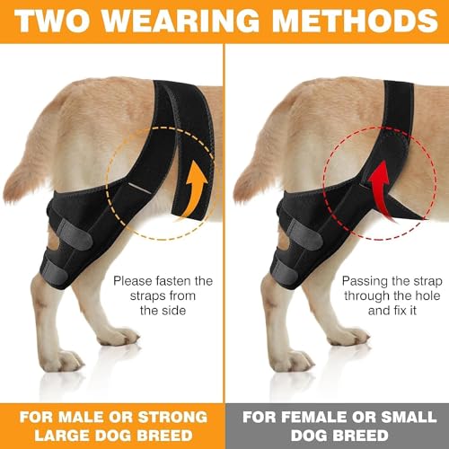 Image of JUANWAN Dog Knee Brace Leg Braces - Dog Canine Knee Stifle Brace Wrap Dog Knee Brace for Torn ACL Hind Leg Joint Pain Muscle Sore Pet Brace Reduces Pain and Inflammation (S), black