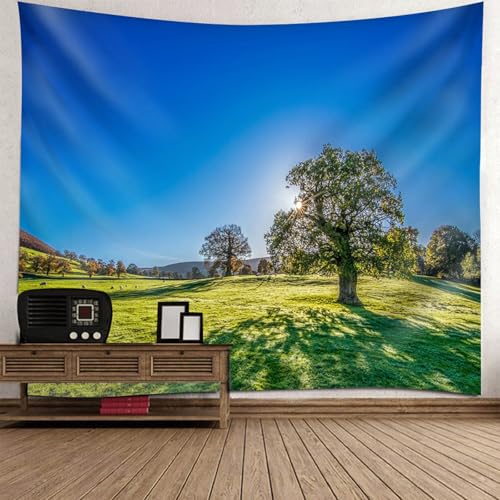 Tenture murale ciel bleu pelouse arbres au format géant 260x240cm