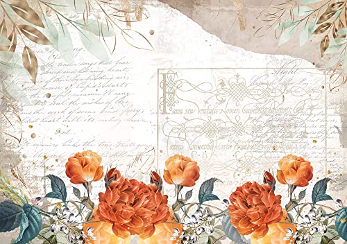 Tela de Encuadernar Decorada 70x50cm (The Kingdom Of The Elves 2) Cover