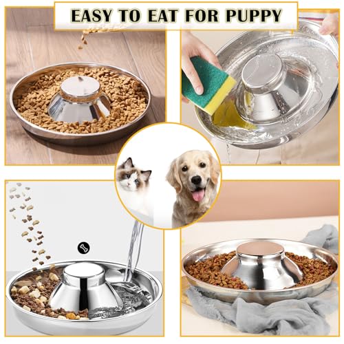 Nexboraque 2 Stück Edelstahl-Welpennäpfe – 25,4 cm Welpen-Futterspender Langsame Futternäpfe für mehrere Welpen – Futter- und Wassernapf für kleine Hunde, Katzen