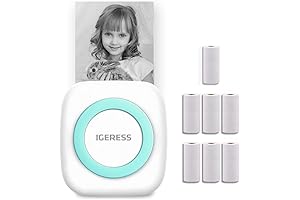 Portable Printer - The Perfect igeress Solution for Labeling and Printing