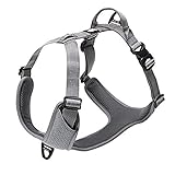 TRUE LOVE Hundegeschirr Outdoor Adventure II Reflektierende Weste mit 2 Leinenbefestigungen passende Leine und Halsband erhältlich TLH6071