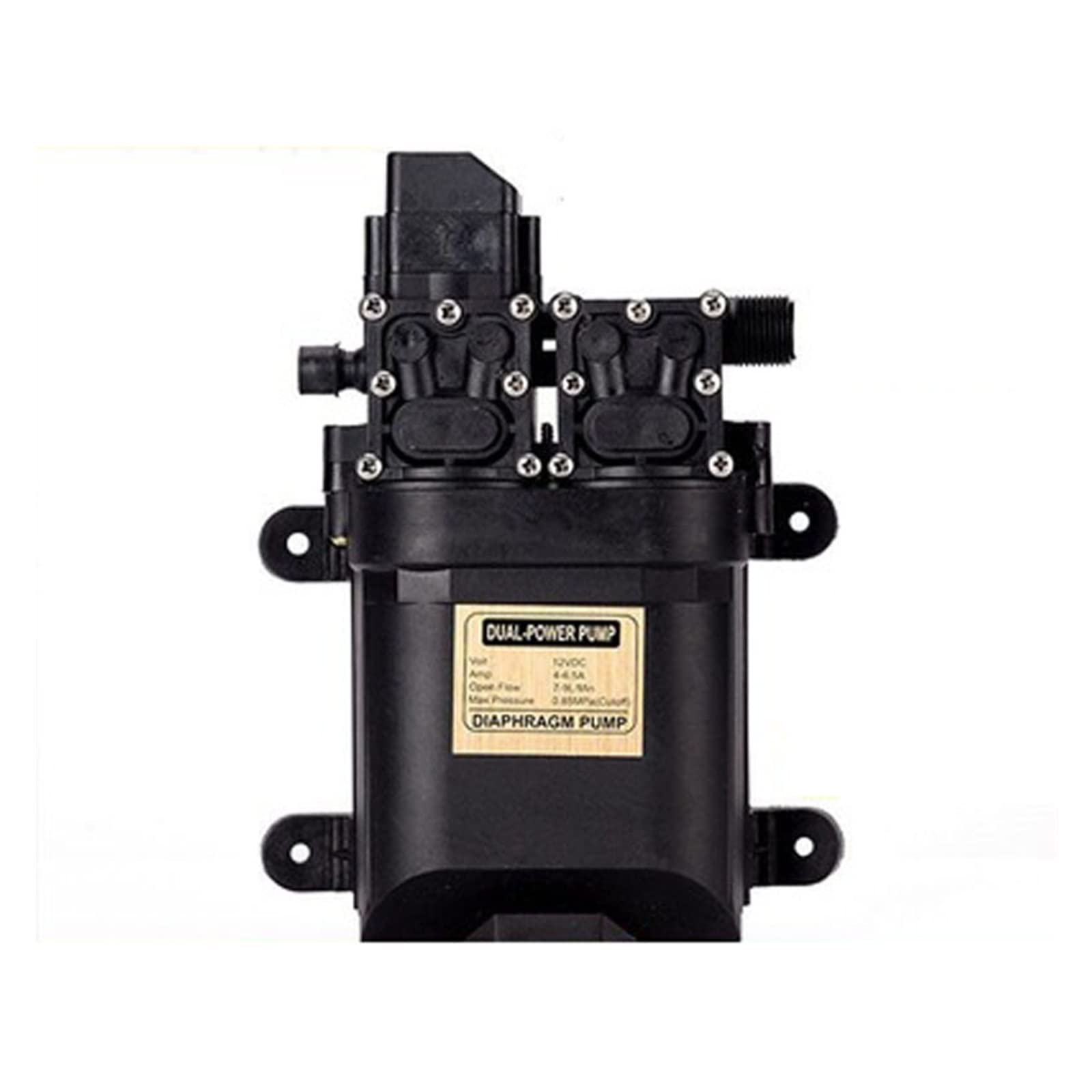 Powerful Dual Water Pump DC 12V 120W High Pressure Self-Priming Diaphragm Water Pump with Lawn Automatic Pressure Switch