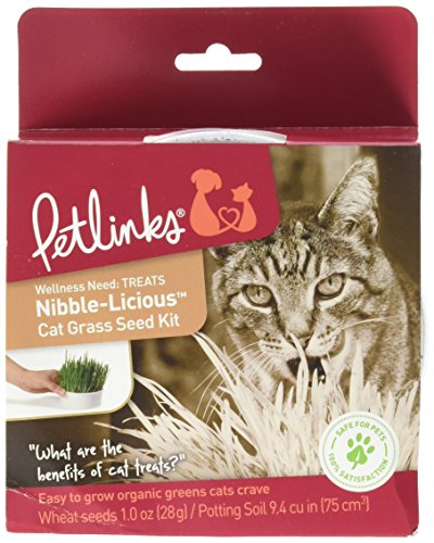 Petlinks Nibble-Licious Cat Grass Kit, Red, 1 oz (49700-99987-024)