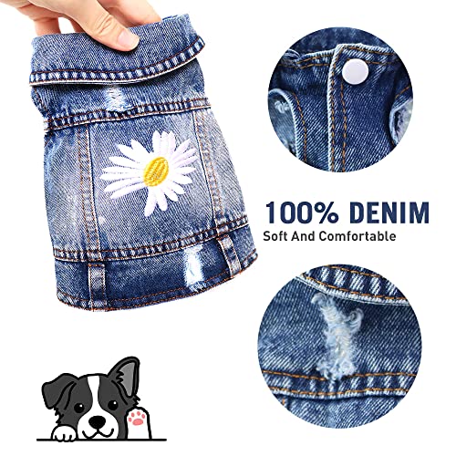 Pawstrip - Giacca da cowboy, classica margherita