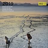 calendarios 2019 colombia Calendario 2019 30X30 Amnistía Internacional, espacio para tomar notas y una visión global de cada semana y mes