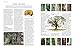 The World Encyclopedia of Trees: A Reference and Identification Guide to 1300 of the World's Most Significant Trees
