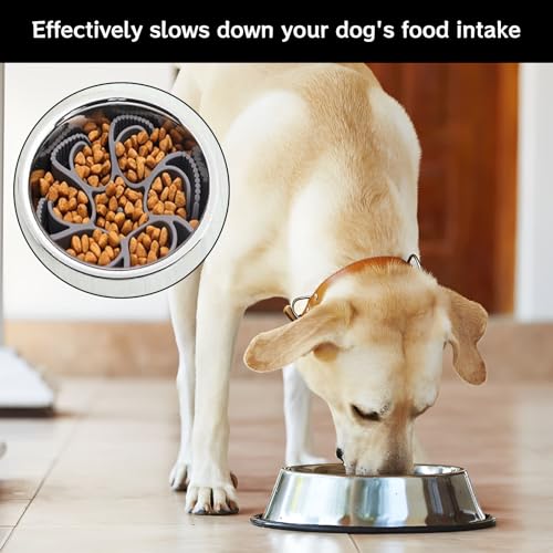 Hunde Langsamer Fressnapf,Anti Schling Einsatz Für Napf,Hundenapf Slow Feeder,Silikon Spirale Hundefutter Schalen,Slow Feeder Hundenapf Einfügungfür Große Mittlere Kleine Rasse Hunde (Ohne Schale)
