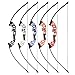 ZSHJGJR Archery 54 Inch Recurve Bow and Arrow Set Takedown Straight Bow 30-40lbs Practice Bow Kit Right Hand Taditional Longbow with 6pcs Fiberglass Arrows (Red Bow Set)