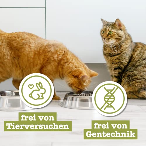 catz finefood Senior N°05 Lachs & Huhn Katzenfutter nass - Premium Nassfutter für Ihre Senior Katze - getreidefrei, ohne Zucker, hoher Fleischanteil, Vitamine & Mineralien (6 x 200g Dose)