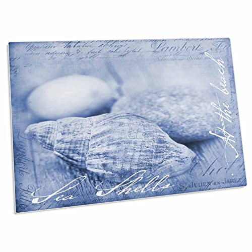 3dRose Illustration with Sea Shells and Typography - Desk Pad
