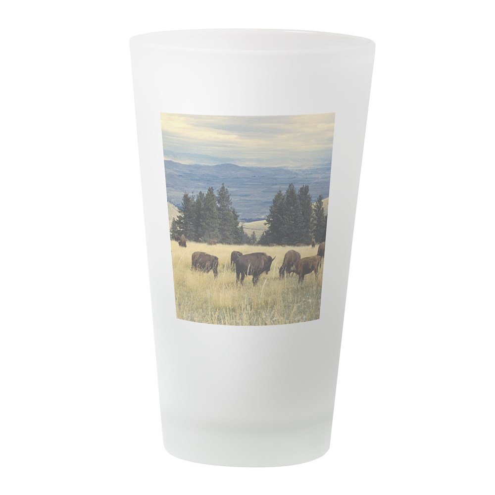 CafePress National Parks Bison Herd Pint Glass, 16 oz. Drinking Glass