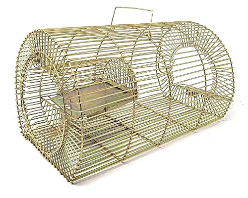 UGANIO Enterprices Iron Trap, Trapper, Cage, Rat Catcher, Mouse Trapper, Rodent Cage - 12 x 8 INCH (B09QQKN71S) Amazon Price History, Amazon Price Tracker