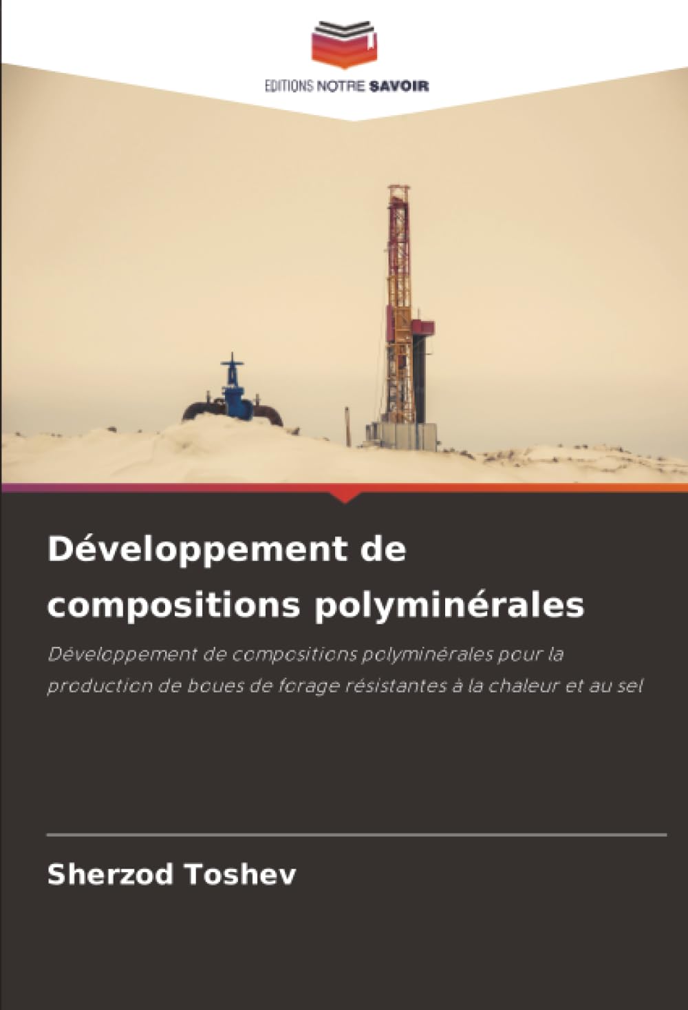 Développement de compositions polyminérales: Développement de compositions polyminérales pour la production de boues de forage résistantes à la chaleur et au sel