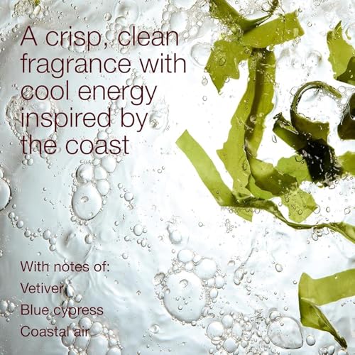 Image of Bath & Body Works Ocean Men 3-in-1 Hair, Face & Body Wash with Pro-Vitamin B5 & Aloe | Daily Shower Gel | 295 ml