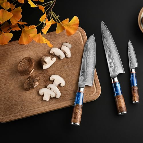 Image of Japanese Chef Knife Set 3 Pcs, 67-Layer Damascus Kitchen Knife Set with VG10 Steel Core, Professional Sharp Damascus Knives with Ocean-Blue Ergonomic Handle, Include Elegant Cooking Gifts Box