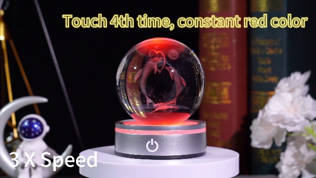 Amazon.com: Movdyka Dolphin Gifts for Women Couples 3D Crystal