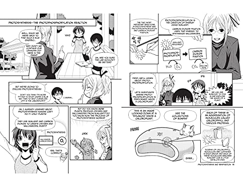 The Manga Guide to Biochemistry - Image 2