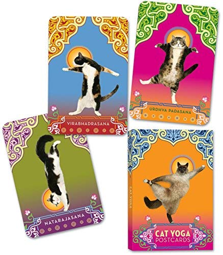 Cartes postales chat yoga Tillotson pour embellir votre bureau zen