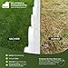 10kg Rasensamen Sport und Spiel schnellkeimend 400m², robust, tiefgrün, ideal für Neuansaat und Nachsaat, Rasensaat Grassamen Frühjahr