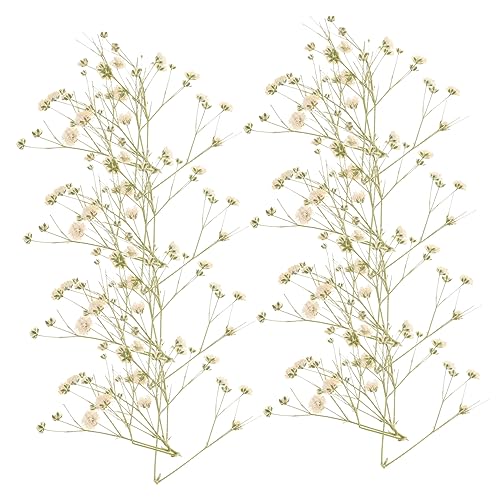 Kit Ramo de Flores Secas para Decoración miniatura 1