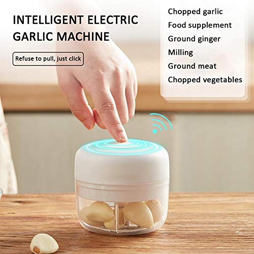 Electric Mini Garlic Chopper Garlic Cutter Garlic Masher, Garlic Press Mincer Pepper Chili Vegetable Nuts Meat Grinder,Food Processor Mincer Blender Mixer(White) #TOP1