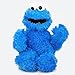Barrio Sésamo - Peluche del Monstruo de Las Galletas, 30,5 cm [versión...