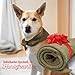 Hundehalstuch mit Namen Bestickt, Oeko-TEX® Standard 100 - Personalisiertes Hunde Halstuch als Geschenk für Hundeliebhaber (Khaki)