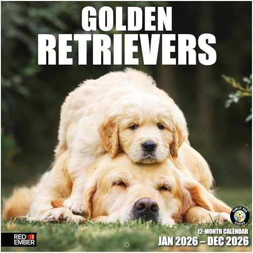 Image of RED EMBER Golden Retrievers 2026 Wall Calendar 12 Month | 12 inch x 24 inch Open | Thick & Sturdy Paper | Holiday Gift | Cute Puppy Dog Calendar 2026