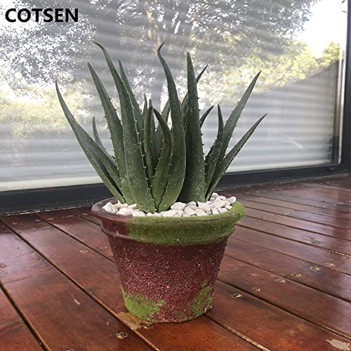 Cotsen 2 Pcs Large Artificial Succulents Artificial Aloe Plant Fake Succulents Artificial Succulents Unpotted Used For Garden Office Home Indoor Outdoor Decoration #TOP2