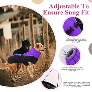 IECOii-Extra-Warm-Dog-Coat-Reflective-Adjustable-Dog-Jacket-Dog-Winter-Coat-with-Buckle-Fleece-Turtleneck-Dog-Jacket-for-Cold-Weather-Soft-Winter-Coat-for-Small-Medium-Extra-Large-Dogs - Cucciolini Doodles   IECOii-Extra-Warm-Dog-Coat-Reflective-Adjustable-Dog-Jacket-Dog-Winter-Coat-with-Buckle-Fleece-Turtleneck-Dog-Jacket-for-Cold-Weather-Soft-Winter-Coat-for-Small-Medium-Extra-Large-Dogs