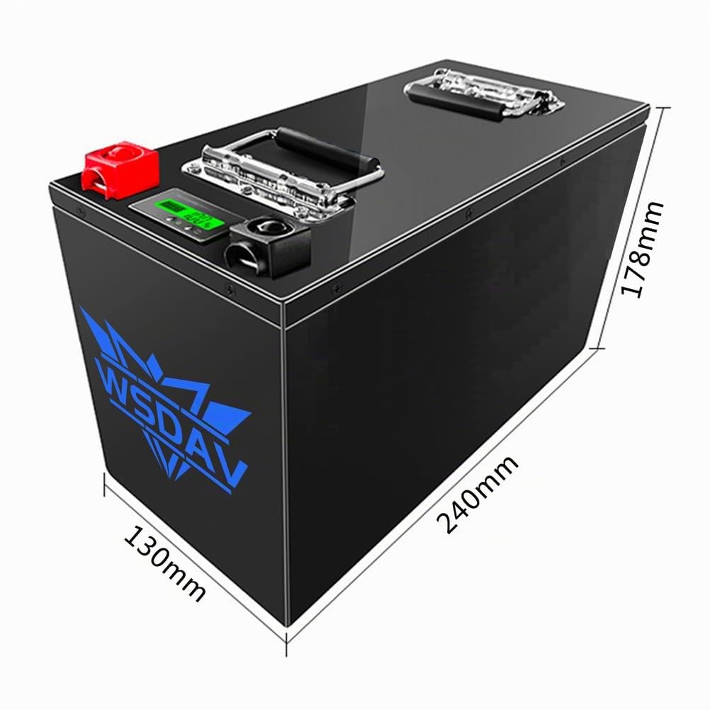 Batteria al Litio Ferro fosfato 12V 24V Batteria LiFePO4 50AH 100AH ​​150AH 200AH 300AH per Motore 0-3600W con BMS