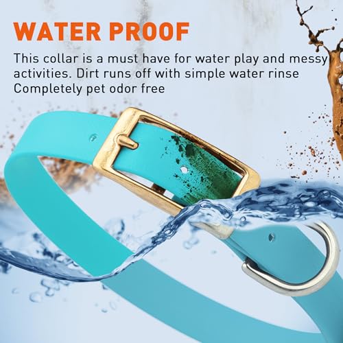 Image of Viper Biothane Heavy Duty Waterproof Dog Collar Strong Coated Nylon Webbing w /Solid Brass Hardware Odor-Proof Easy to Clean High Performance Fits Small Medium or Large Dogs, Sky Blue