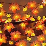 DARENYI カボチャ＋ 紅葉ライト【40球全長6M 電池式 点灯パターン8種類】紅葉 飾り 秋の装飾 感謝祭 秋のディスプレイ装飾品 ハロウィンライト イベント飾り デコレーション 屋内/屋外