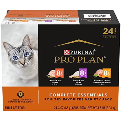 Best Cat Food for Cats That Throw Up in 2022 (with Reviews!)