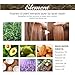Krukivne 120ML Veganic Natural Hair Growth Oil, Rosemary Organic, Gro for Dry Damaged and Thin Hair, 2PCS*60ML Bottle