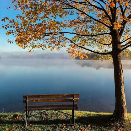 Méditation Guidée Ancrage - 20 minutes - Respiration Profonde